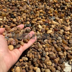 Paisajismo - Paraná